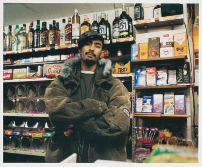 la fouine