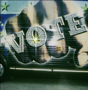 vote
